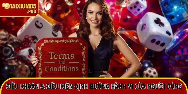 Điều khoản & điều kiện định hướng hành vi của người dùng