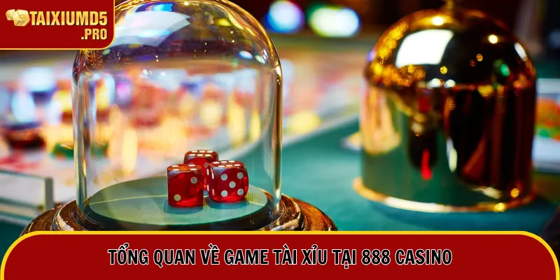 Tổng quan về tài xỉu tại 888 casino